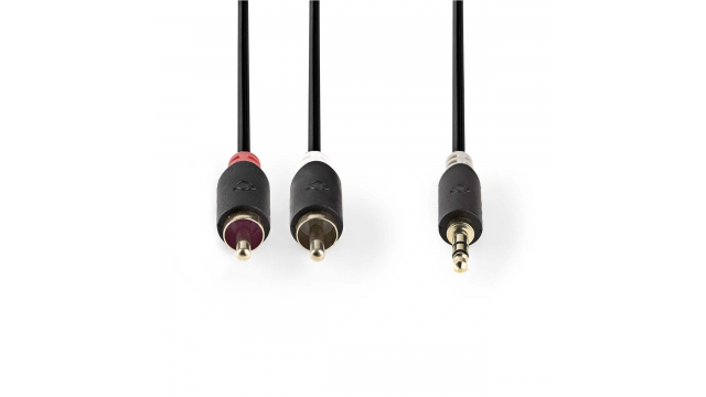 Nedis CABW22200AT50 Stereo Audiokabel 3,5 Mm Male - 2x Rca Male 5,0 M Antraciet