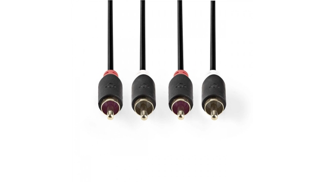 Nedis CABW24200AT30 Stereo Audiokabel 2x Rca Male - 2x Rca Male 3,0 M Antraciet
