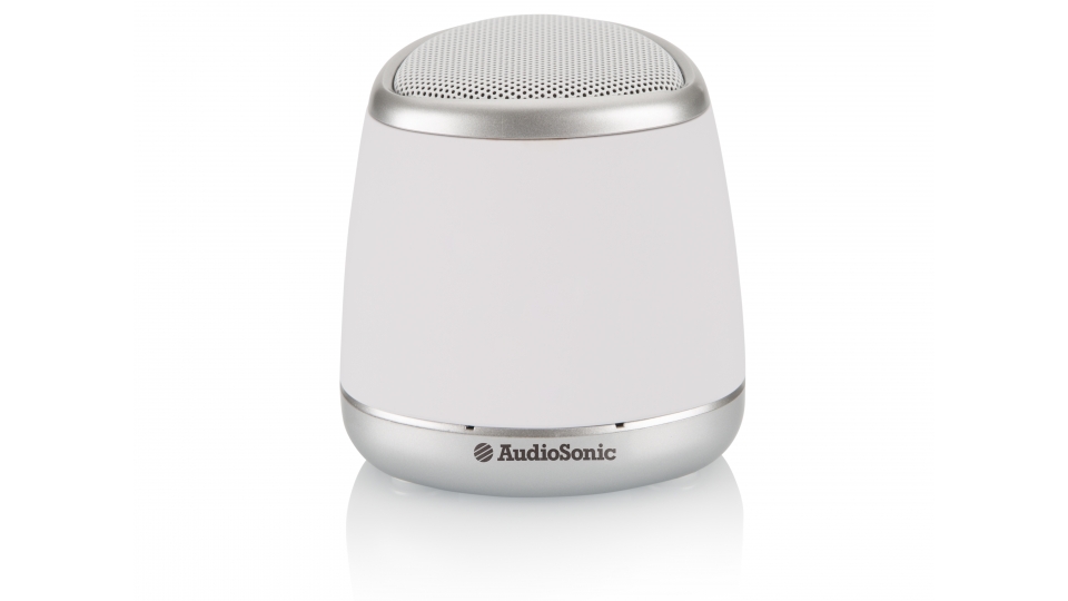 audiosonic sk-1505 bluetooth speaker