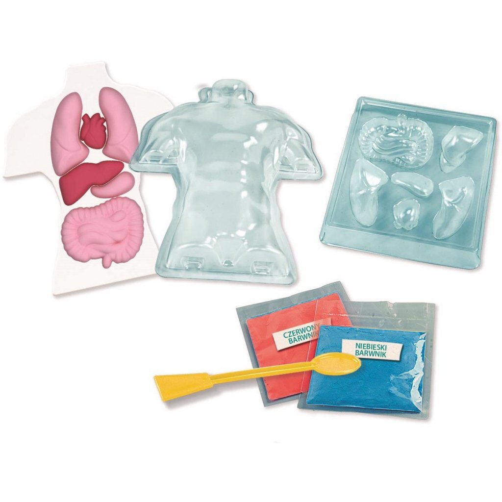 Clementoni Wetenschap & Spel Squishy Anatomie