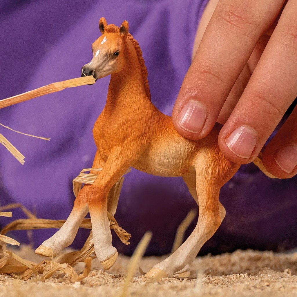 Schleich Arabisch Veulen