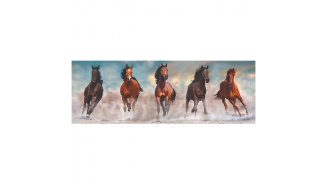 Clementoni High Quality Collection Panorama Puzzel Paarden 1000 Stukjes