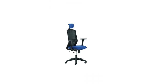 Geen Merk LF-2012405 Bureaustoel Linea Tekna 01/PT Zwart/blauw Met 3D Armleuning En Hoofdsteun