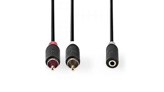 Nedis CABW22255AT10 Stereo-audiokabel 2x Rca Male 3,5 Mm Female Verguld 1.00 M Rond Antraciet Doos