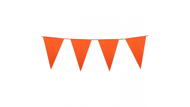 Vlaggenlijn 100 cm Oranje