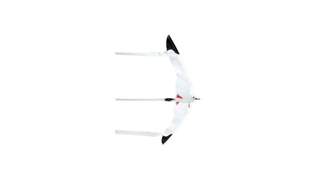Rhombus Mini Seagull Vlieger