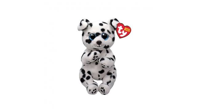 TY Beanie Babies Bellies Knuffel Dalmatiër Rowdy 15 cm